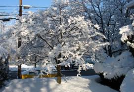 Коллизии природы