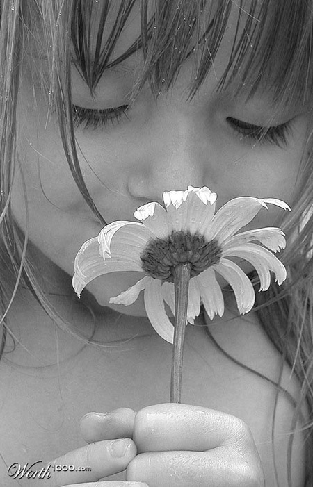 Считалочка. На Ромашке погадаю