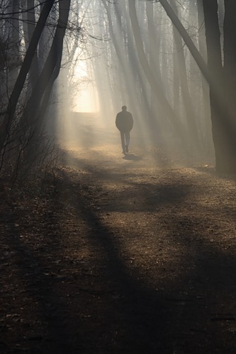 Незнакомец