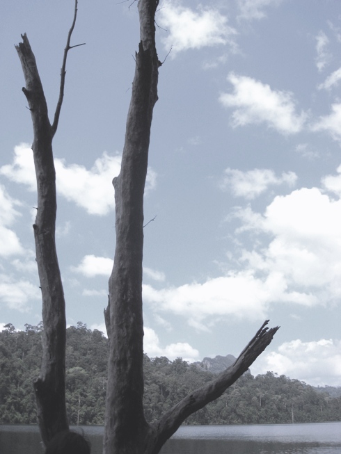 Глупый хозяин реки