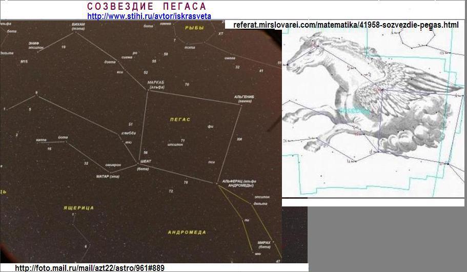 Созвездие Дракон Реферат Созвездие Дракон Реферат
