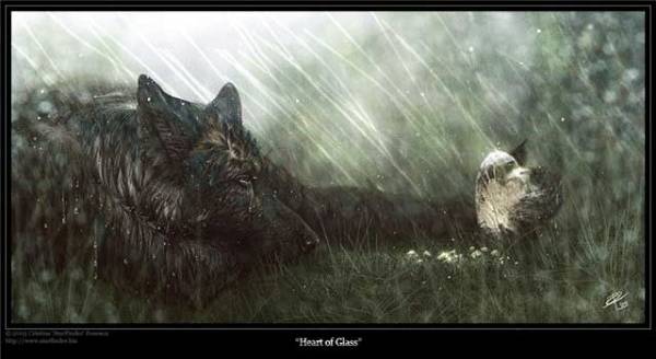 Ошейник на волка