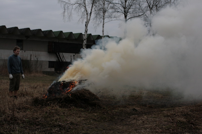 Времена года