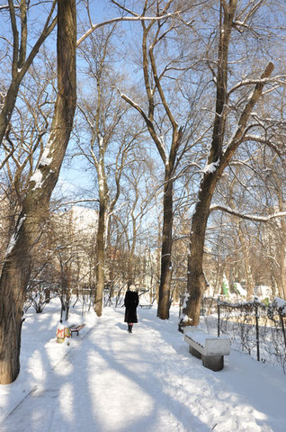 Старый парк