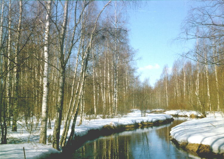 Нежна апрельская лазурь...