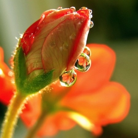 Мои афоризмы обновляются по мере появления