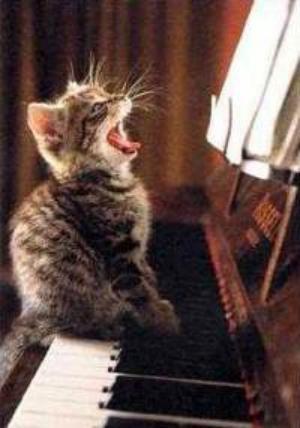 Пришла пора. Хайку