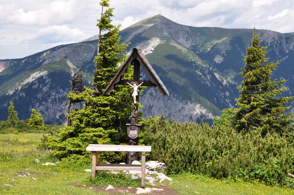Зачем молить, когда в ответ лишь эхо
