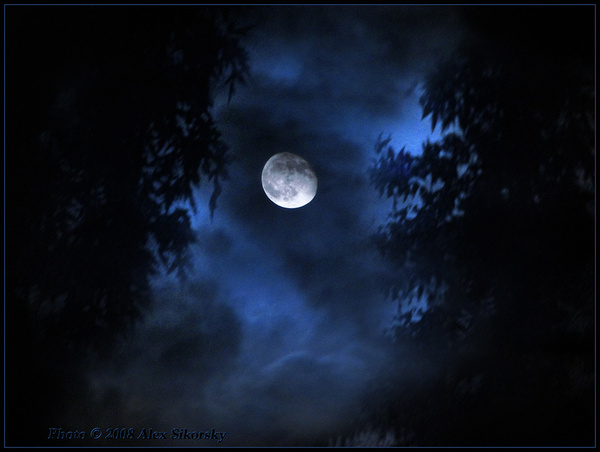 Голубая грусть