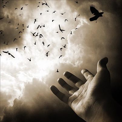 Мне мало видимого мира