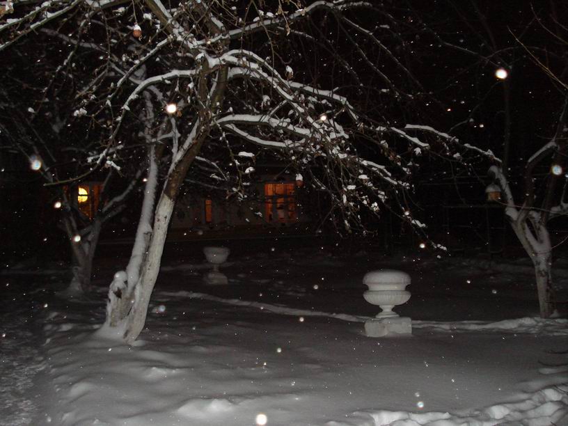 Новогоднее