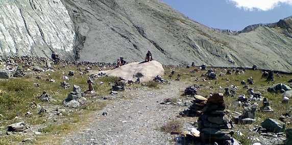 Никого не виню... Евгений Оберенко