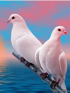 О тебе, для тебя