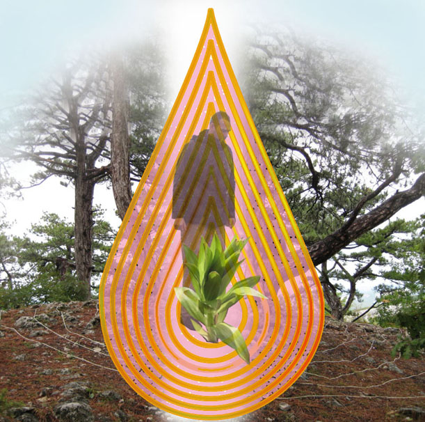 Или будут мыть нам кости