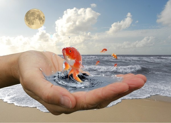 Ты ускользаешь