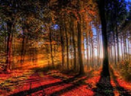 Весенний вечер