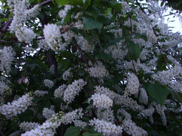 Понимаем с тобой с полуслова..