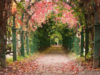 Нет, Я Бессильна. Перед Резкою Судьбою