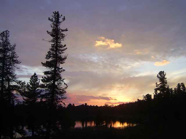 Весенний блюз