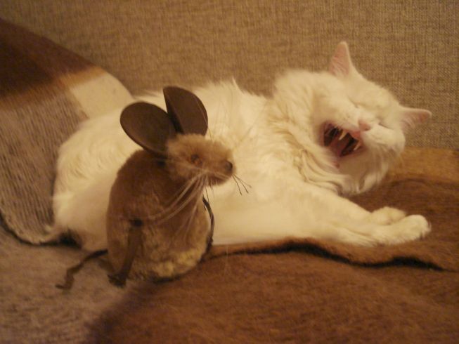 Сказка про безусого мышонка