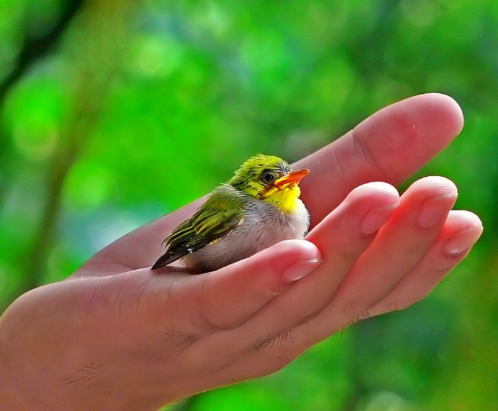 Берегите природу!!!