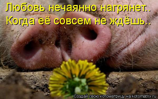 Дамам верящим в деревенских принцев...