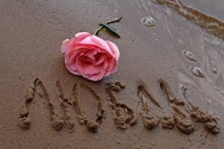 Горацио и рацио