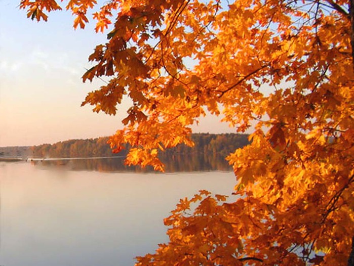 Где ты, моя Болдинская осень?