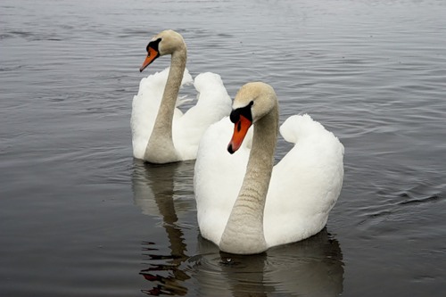 Хочу и буду счастлива