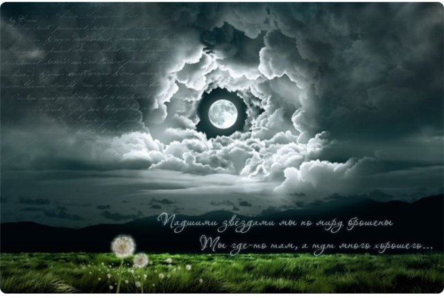 Она чувствует сердцем, когда он приезжает...