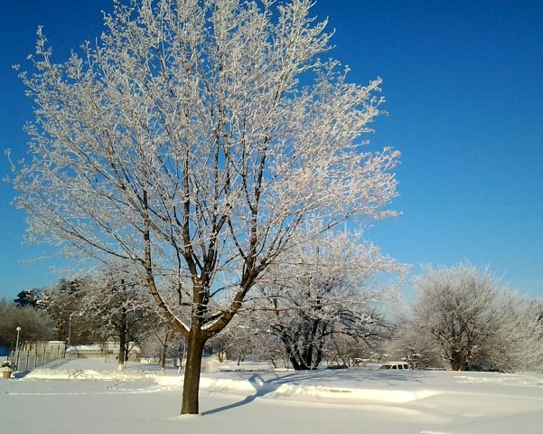 Ангелы любви