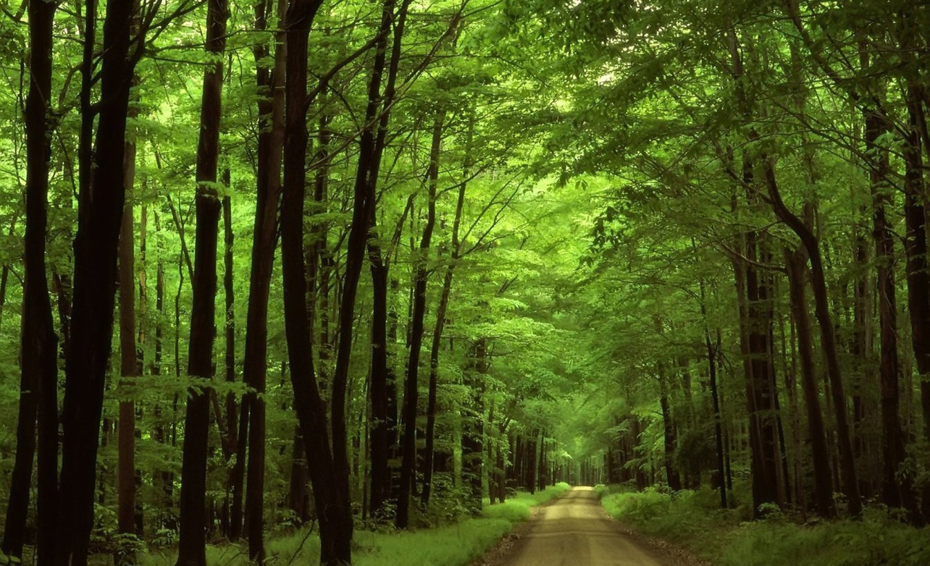 Там, где Ты... - Марине Агаповой