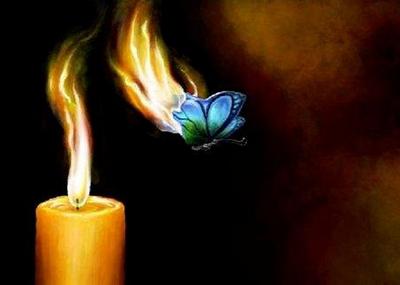 Жизнь и смерть мотылька. Компоту