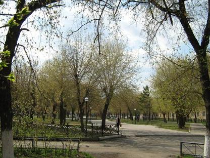 Первые листья