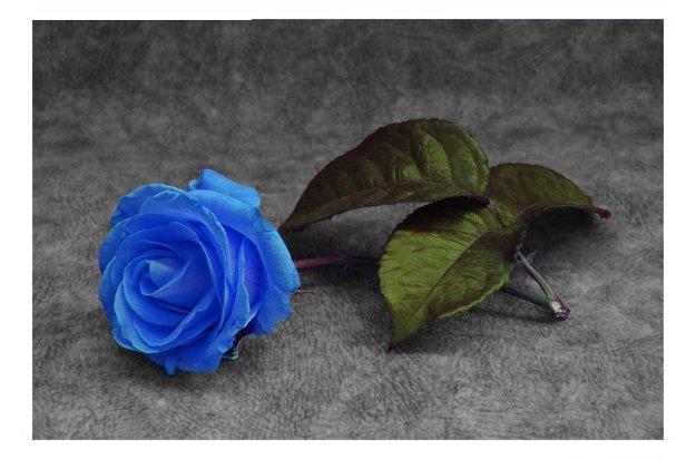 Я жду тебя любимый! Я тебя люблю!