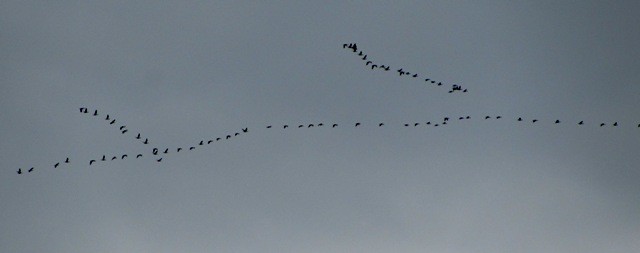 В последний путь...