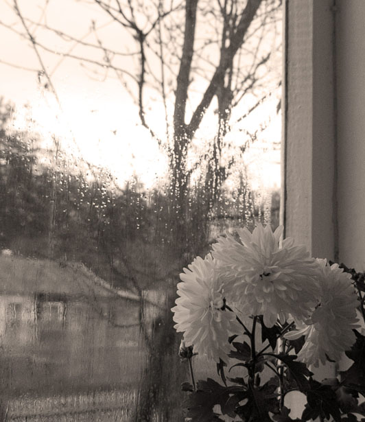 Я сижу и молчу...