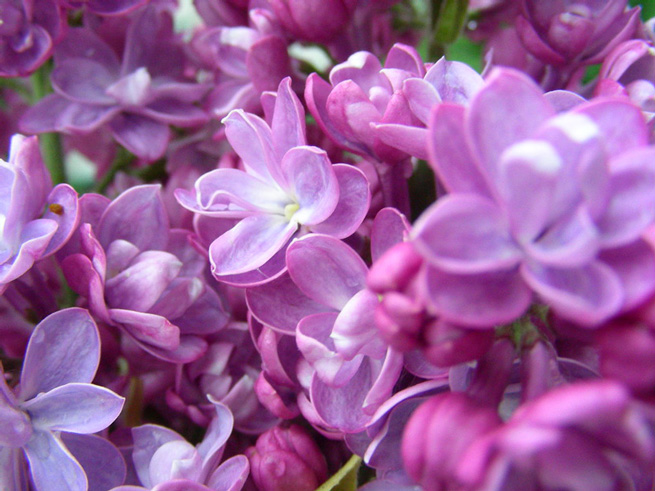 По-весеннему