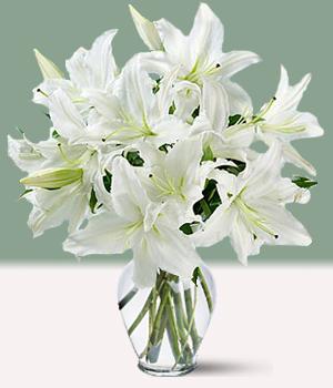 Алексею Романенко! С днём рождения!