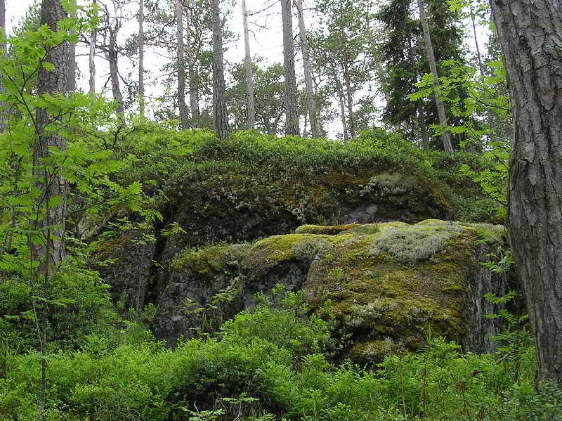 Храните, россияне, мир Природы!