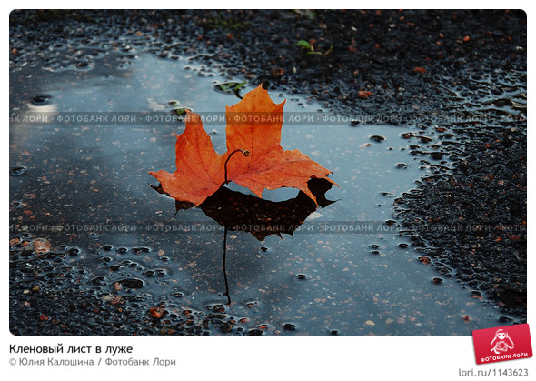 Масляное масло