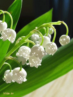 Жизнь хороша!