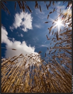 Пусть весь мир подождёт, пока облако плывёт...