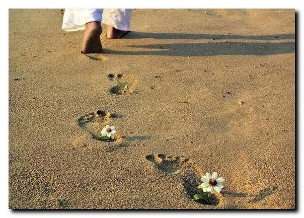 Телестих. Берег