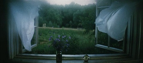 Полусветом, брошенным из сада..