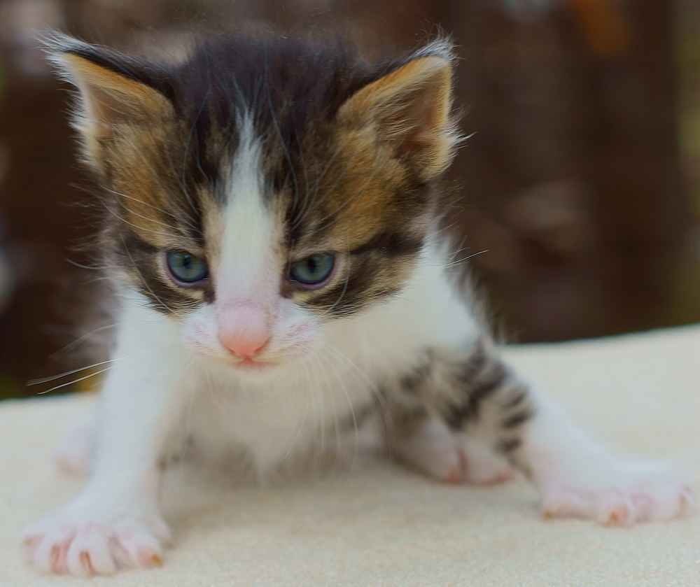 Мгновение до...