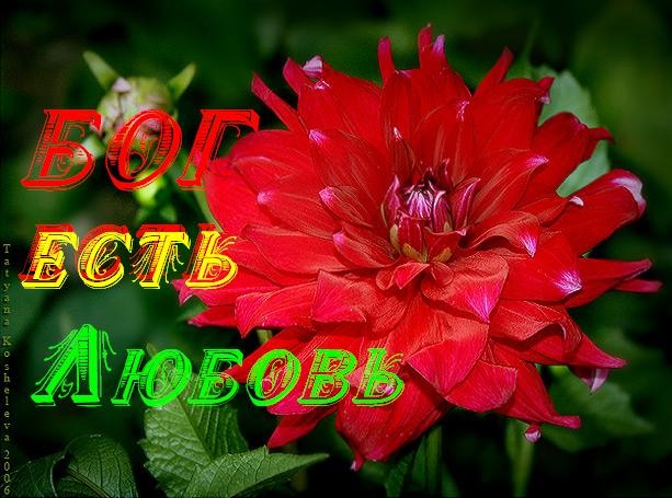 Нереальна реальнiсть