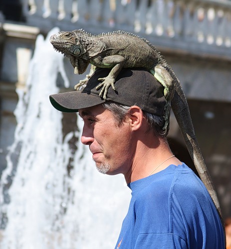 Конкурс Юрский период