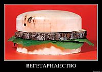 Вегетарианство, где сосна там якут