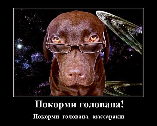 Ростиславский МакСим. Умный умному сказал. Часть 4